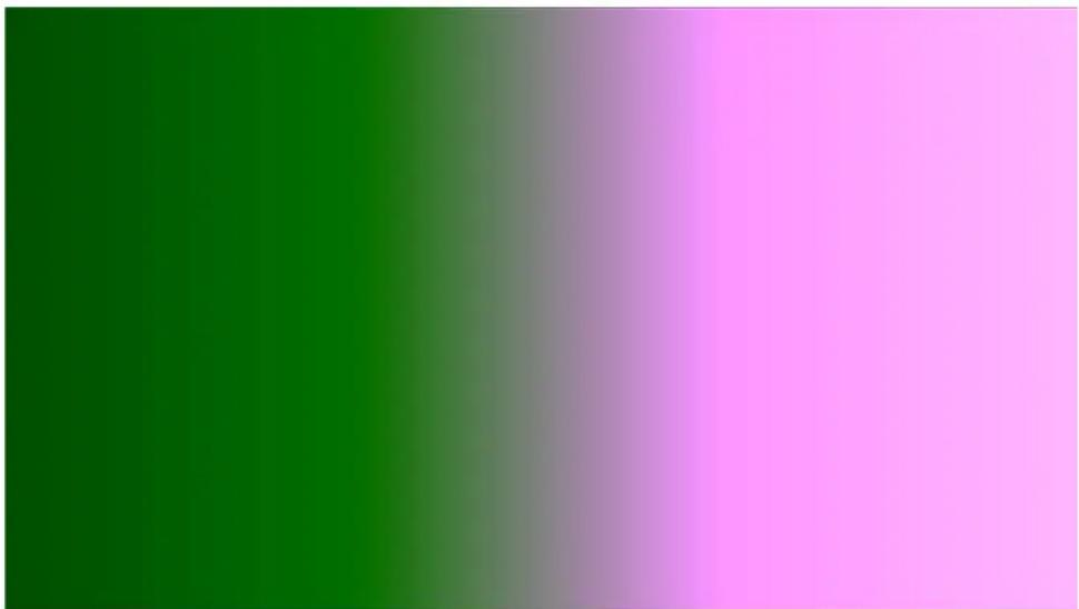 Leader LV5600 - Gradation Display - 1