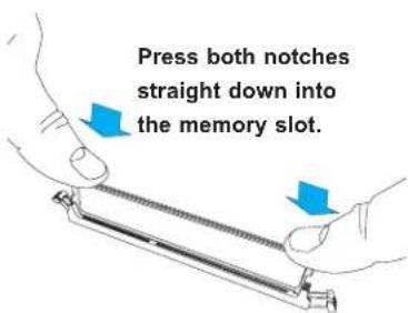 Press both notches straight down into the memory slot.