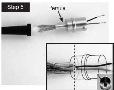 Step 5 ferrule