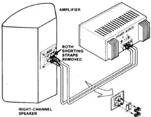 AMPLIFIER BOTH SHORTING STRAPS REMOVED RIGHT-CHANNEL SPEAKER SPAKER OUTPUTS R L+