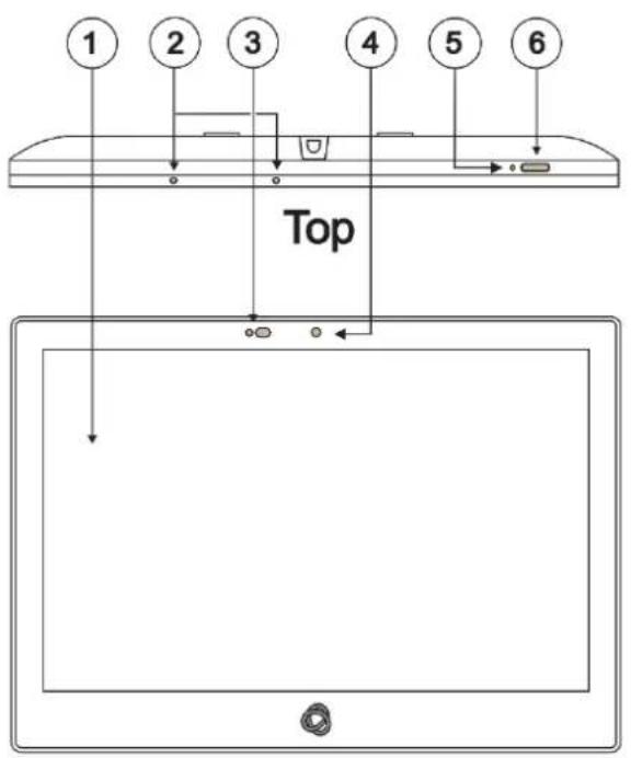 1 2 3 4 5 6 Top