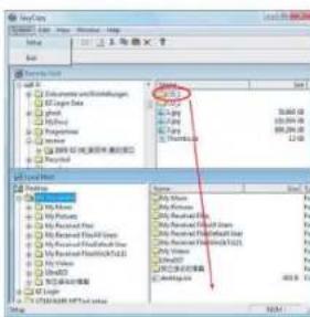TARGUS ACC96EU - Windows SO - 4