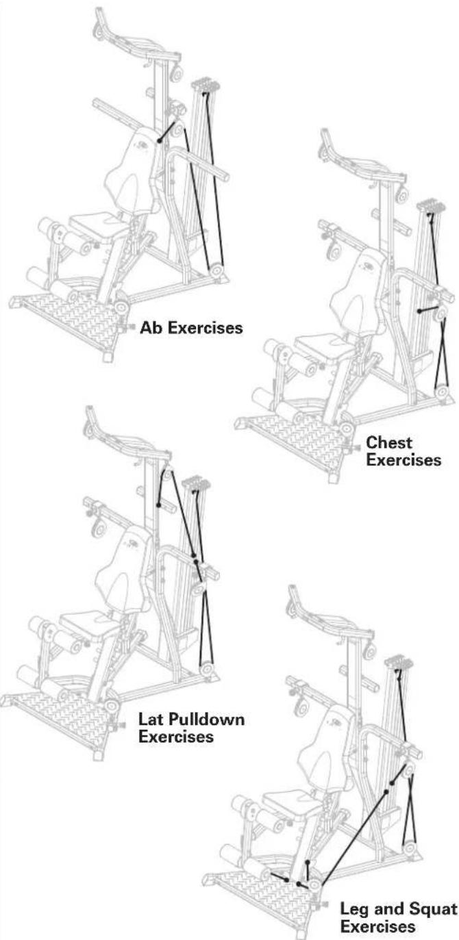 Ab Exercises Chest Exercises Lat Pulldown Exercises Leg and Squat Exercises
