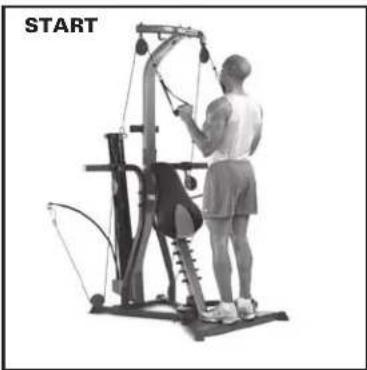 BOWFLEX Xtreme SE - Key Points: - 2