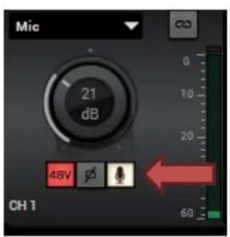 Mic 21 dB 48V ∅ CH 1 60