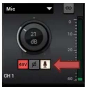 Mic 21 dB 48V ∅ CH 1 60