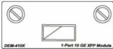 DEM-410X 1-Port 10 GE XFP Module