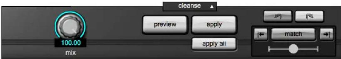 100.00 mix cleanse preview apply apply all match