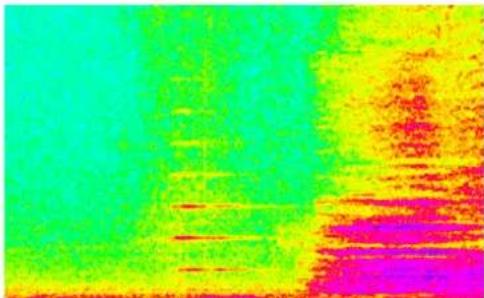 CEDAR Studio 9 - Tonal noise: - 1