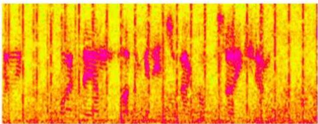 CEDAR Studio 9 - Volume mode - 2