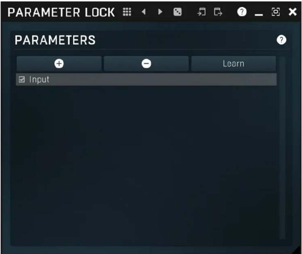 PARAMETER LOCK PARAMETERS + - Learn Input