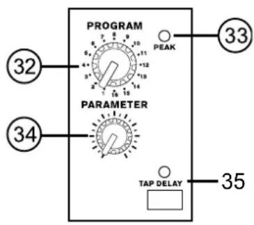 PROGRAM PEAK 32 34 PARAMETER TAP DELAY 35