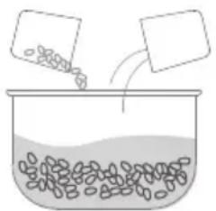 MIDEA MB-FS5023 - WHITE RICE - 1