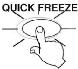 LG GR-389TNQF - Quick Freeze - 1