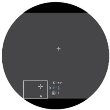 Diagram showing a circular target with plus and minus signs, labeled X, Y, and A, and a plus symbol at 1.