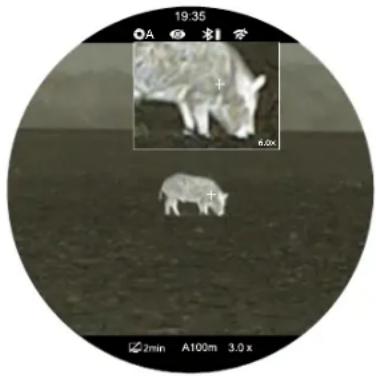InfiRay TX60C - PICTURE IN PICTURE (PIP) - 1