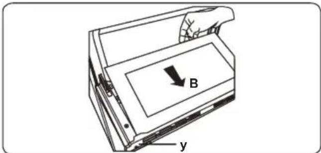 B y