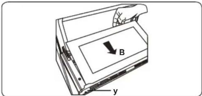 B y