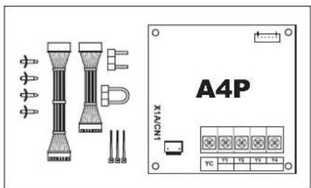 A4P XIAOCH1 YC