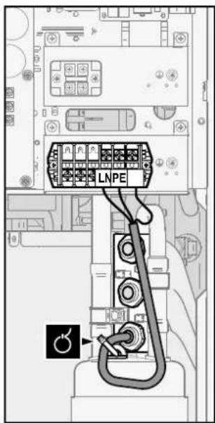 P1 P2 P3 LNPE Male Gender Symbol