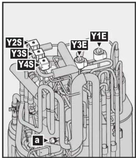Y2S Y3S Y4S a Y3E Y1E