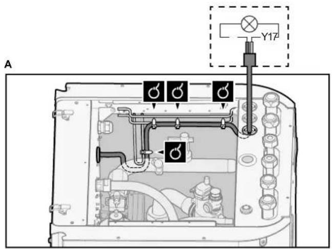 A Y17