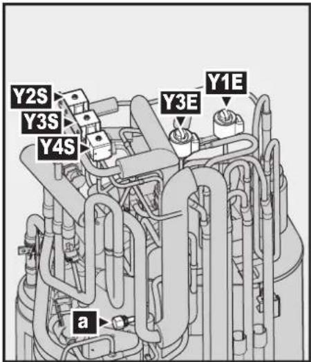 Y2S Y3S Y4S Y3E Y1E a