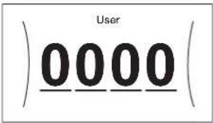 User 0000