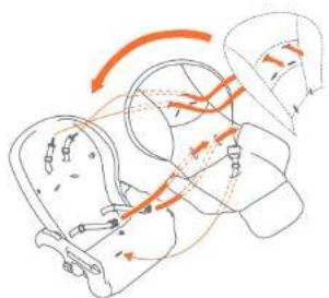 Baby Trend Sit Right 2.0 - WARNING: Harness Straps are NOT washable. - 3