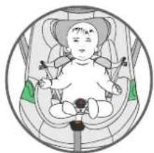 Venicci Engo Base - Sicherung ihres Kind mit dem Geschirr3.3 Einstellen der Kopfstütze - 2