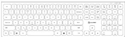 Screenshot of a standard computer keyboard with standard icons and function labels