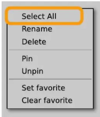 Select All Rename Delete Pin Unpin Set favorite Clear favorite