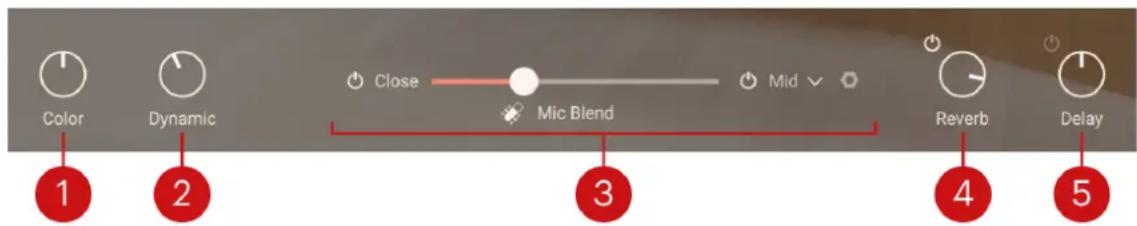Color Dynamic Close Mid Mic Blend Reverb Delay
