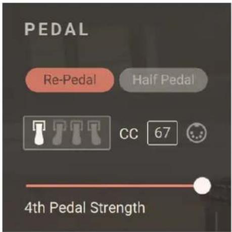 PEDAL Re-Pedal Half Pedal CC 67 4th Pedal Strength
