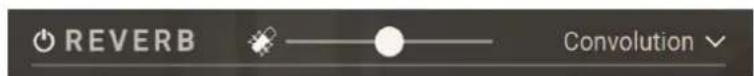 REVERB Convolution