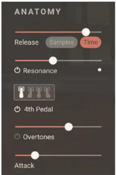 ANATOMY Release Samples Time Resonance 4th Pedal Overtones Attack