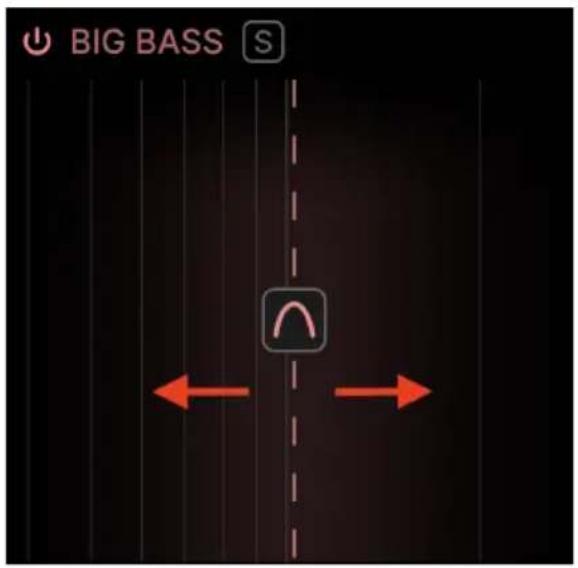 BIG BASS S