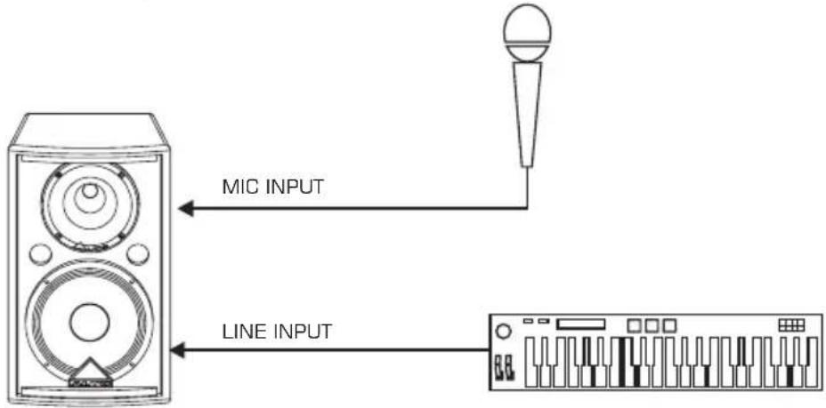 MIC INPUT LINE INPUT