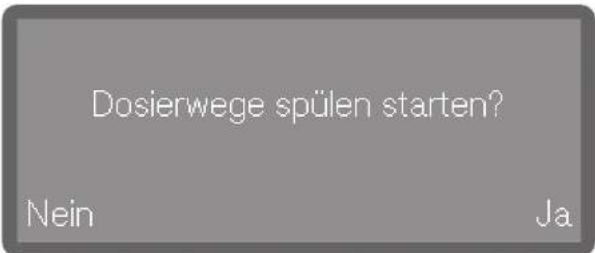 Dosierwege spülen starten? Nein Ja