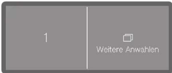 1 Weitere Anwahlen
