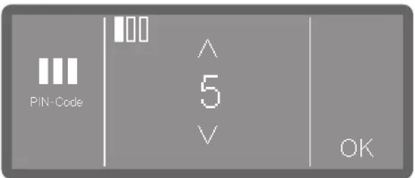 PIN-Code 100 ^ 5 V OK