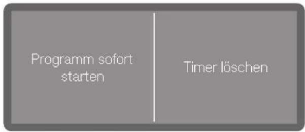 Programm sofort starten Timer löschen