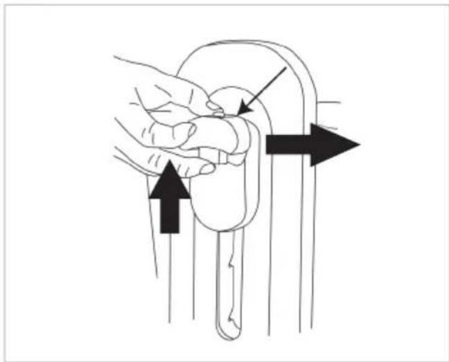 Chipolino Heart 2 Heart - 16, 17, 18 - COT REMOVAL - 13