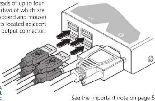 eads of up to four (two of which are board and mouse) its located adjacent output connector. See the Important note on page 5