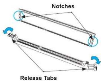Notches Release Tabs