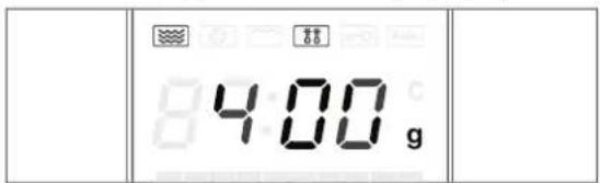 4.00 g