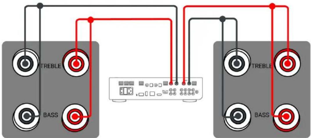 AVM Audition CB 2.3 - Bi-Wired (Doppelverkabelung) - 1