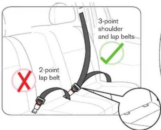 2-point lap belt 3-point shoulder and lap belts