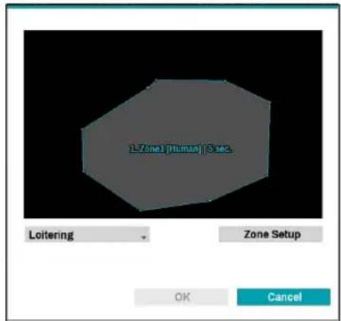 1-Zone1 [Human] 5 sec Loitering Zone Setup OK Cancel