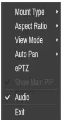 Mount Type Aspect Ratio View Mode Auto Pan ePTZ ✓ Show Main PIP ✓ Audio Exit